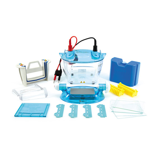 北京六一DYCZ-24K雙板垂直電泳儀（基礎(chǔ)款）